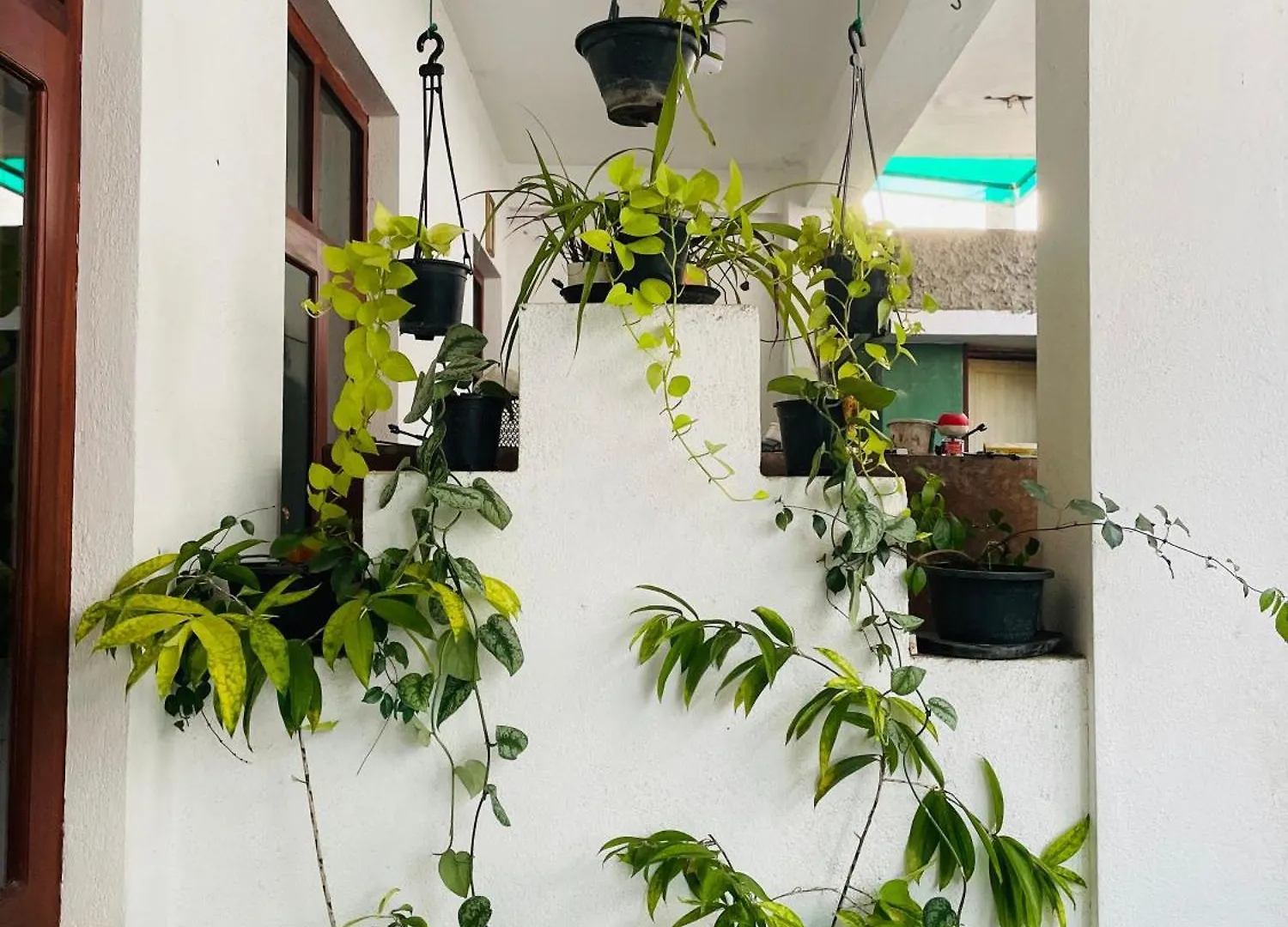 Wind Beach Inn Negombo Guest house